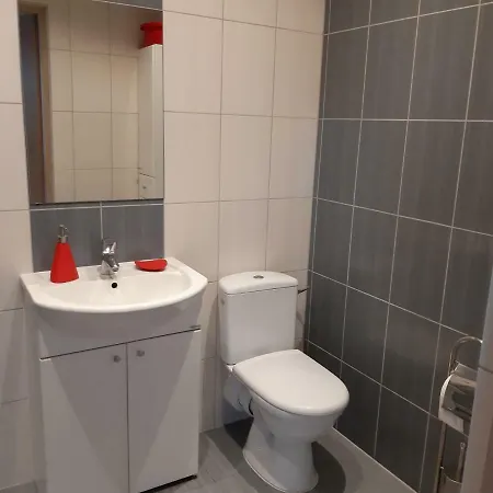 U Basi Apartment