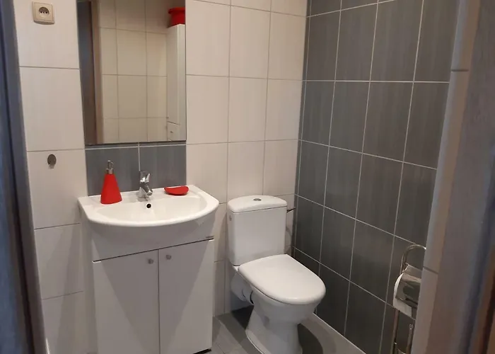 U Basi Apartament